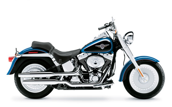  HARLEY DAVIDSON FLSTFI